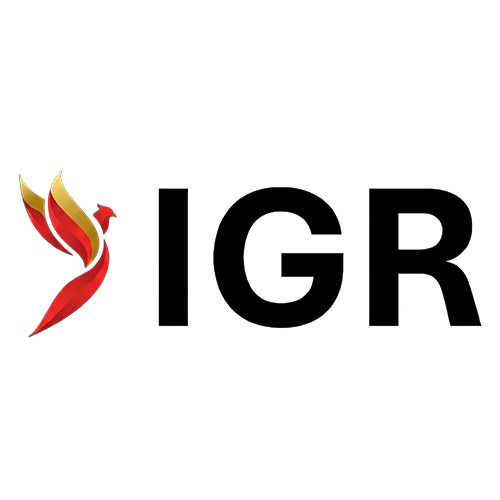 Логотип Invictus Global Response