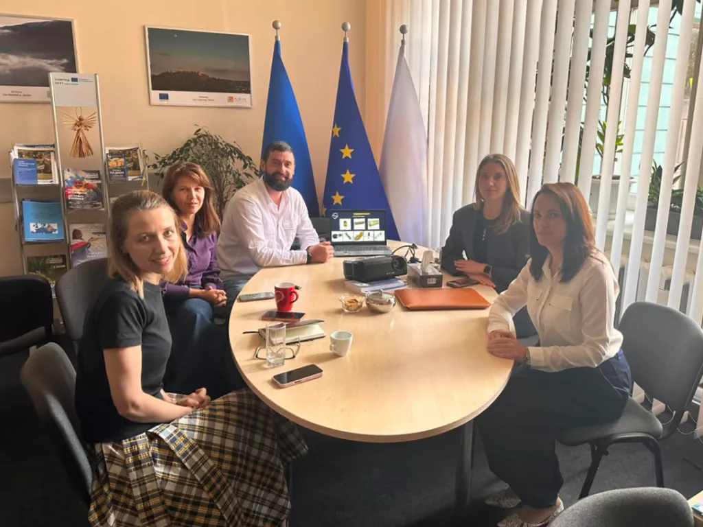 Навчальний захід Дмитра Базалієва для працівників ІЦСТС Добросусідство